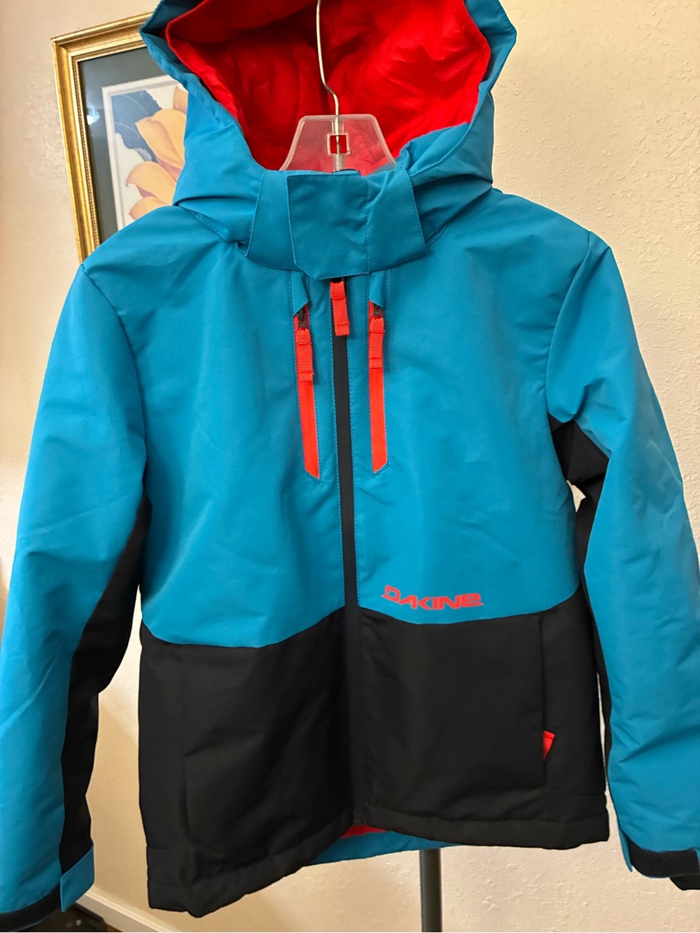 Dakine Hooded Ski Jacket